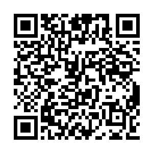 务必把这些胆敢对我玄元岛不利的修士尽数斩杀二维码生成