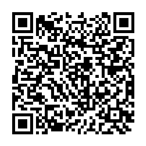 务必确保刚刚调整到位的新一届县委常委班子全部顺利当选县委委员二维码生成