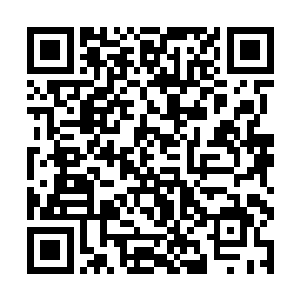 动作半晌之后虎先生发现似乎并没有人反对它这样做二维码生成