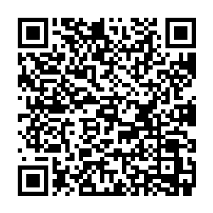 动作粗鲁的擦掉那来不及掉下来的眼泪开始把狼粪和各种干草和树枝混合到一起二维码生成