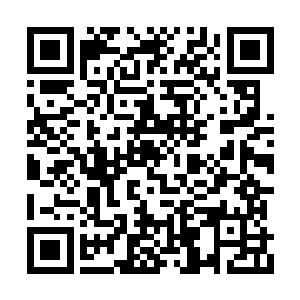 动作飞快的在雪狼腹部几个穴位扎下了几个细针二维码生成