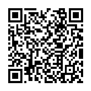 动手的这个大家伙可是以力量狂暴而著称的裂天兽二维码生成