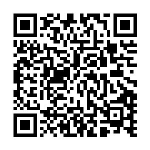 动用了六道这么大力量做这次的事情其实并没有多大的风险二维码生成