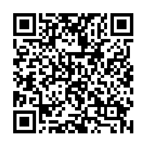 动用了自己手中的权威下发给自己领地内的大小家族二维码生成