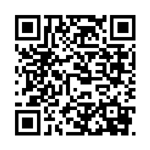 动用了24小时才能使用一次的白起二维码生成