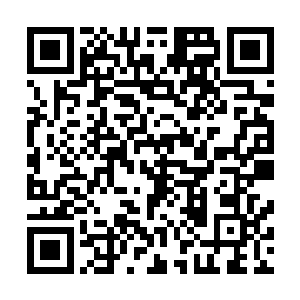 动荡的虚空原力与不再稳定的空间让千夜的血核加快了脉动二维码生成
