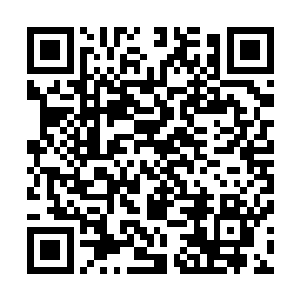 努力从那斑斓的色彩和令人眼花缭乱的感官错觉中回过神来二维码生成