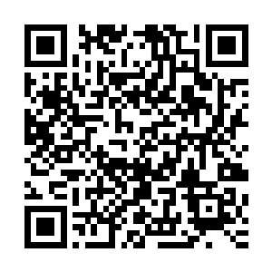 努力的想要把满是胶原蛋白的婴儿肥包子脸藏在半张饼子后面二维码生成