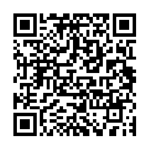 努曼人当初从魔鬼大君头颅中源源不断地提取出珍稀的血脉力量二维码生成