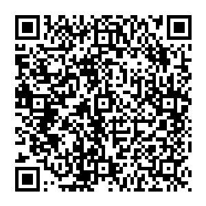 努比斯一双手掌已经完全变成了金色一身实力毫无半点保留的发挥了出来闪电般抓向其中一名老者的脖子二维码生成