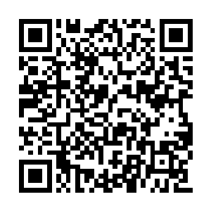 努比斯一看见前方那浩瀚而又充满狂暴气息能量二维码生成