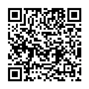 努比斯从远处气势汹汹的冲了过来拦住陶正天的去路二维码生成