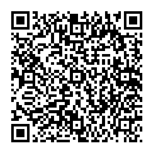 努比斯战意高昂毫无丝毫畏惧之色似乎眼前这两名圣皇境界的盖世强者对他来说并不是不可战胜的二维码生成