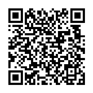 努比斯非常干脆的扔出四枚空间戒指飞向两名长老二维码生成