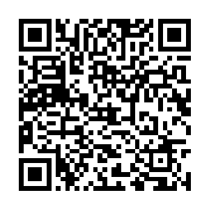 劫云的下方小金此时经过了三个多小时的恢复之后二维码生成