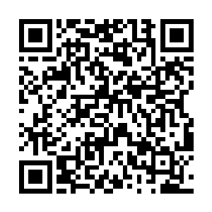 劫后余生的倪家蛊师们猛地爆发出惊天动地的欢呼声二维码生成