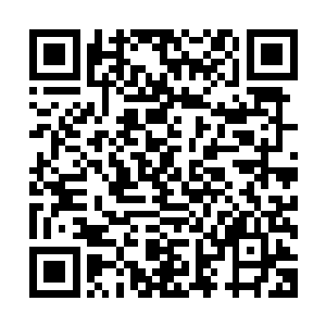 势必不可能留下整支飞虹舰队这些帝国外围的杂牌军和地头蛇二维码生成