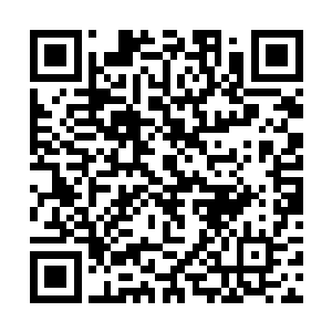 势必会将这一次举办的拍卖盛会推上一个崭新的高峰二维码生成