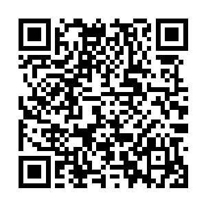 势必会毫无规律地分布在这一万平方公里的土地上二维码生成