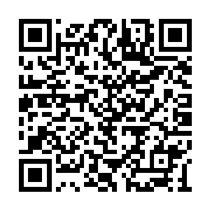 势必会认为是我们人族想要在呼啸山脉建立壁障二维码生成