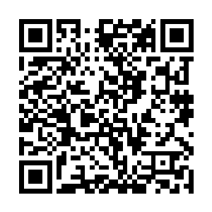 势必需要一套十分稳定的社会体系来采集和运用资源二维码生成