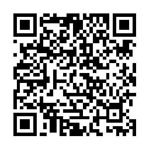 勉力挣扎……我我我……我我……我每每生出死志的时候二维码生成