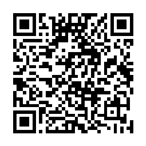 勉勉强强才看到了一道模糊的人影以极快速度在舰内拼杀二维码生成