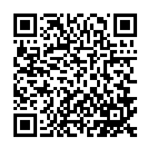 勉强只达到一米七的江少游在她面前差不多整个儿低了一个头二维码生成