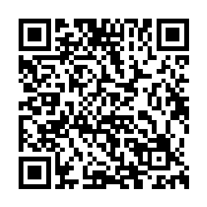 勉强能够忍受这五个家伙身上散发出来的气味了二维码生成