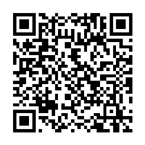 勤劳的机器人已经把蔚宝繁送来的内内洗干净晾干收好了二维码生成