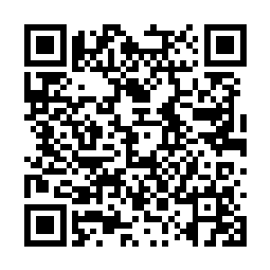 勾引这个又勾引那个的狐媚子……表姑娘有所不知二维码生成