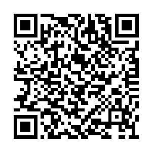 包子丫鬟画儿似乎也听着自家小姐也嘘了一口气二维码生成