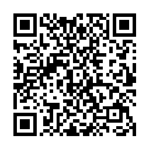 包子小丫鬟一张小脸忙不迭的像小鸡吃米一样连连点头二维码生成