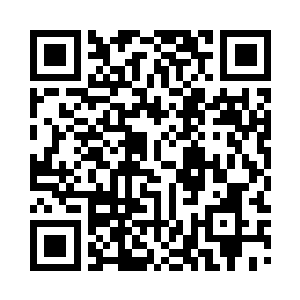 包子小丫鬟也跟着将长寿面端到了朱平安跟前二维码生成