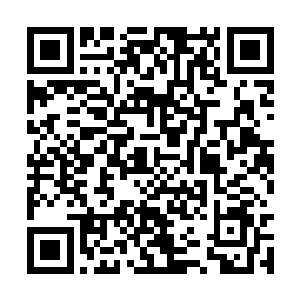包子小丫鬟自然又是一副不明觉厉的看着自家姑爷二维码生成