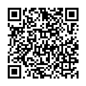 包括下午的首映礼他都没打算看直播――去都不去了二维码生成