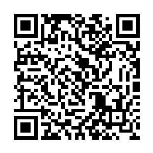 包括东域人榜第一名的寒烟仙子和战公子都未能入榜二维码生成