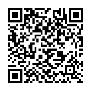 包括之前那五个界主级恶魔也都被愤怒血祭一空了二维码生成