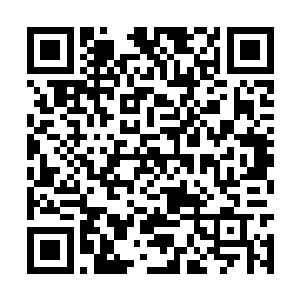 包括之前释放威压想要阻止她的帝后跟崆峒宗主们二维码生成