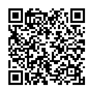 包括九魄圣者在内的武者不认为海族会放过九魄岛二维码生成