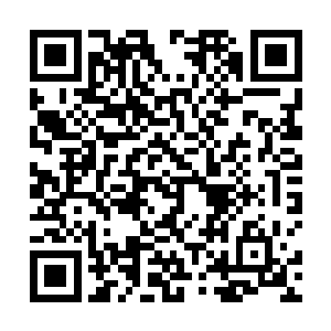 包括了一万多平米的城堡主体建筑和一个紧挨着城堡的二维码生成