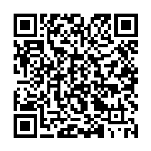 包括他曾经在他房间喝下的半杯混浊不堪的劣质茶水二维码生成