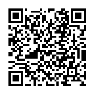 包括你花费千年辛辛苦苦搜集起来的计算单元在内二维码生成