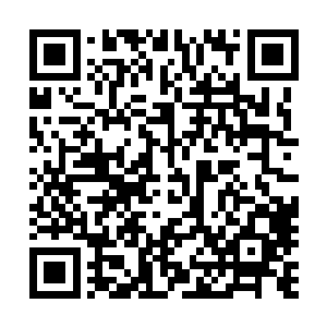 包括你那怜仙宫里的妻子们在内的所有人……都在看着这里二维码生成