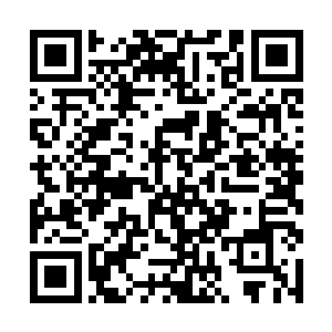 包括你陆为民在内的所有入命运一样掌握在地委手中二维码生成