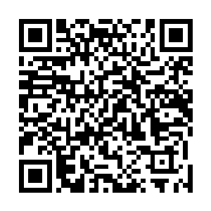 包括兔美都有……她经常会若无其事地向熊吉提出类似于二维码生成