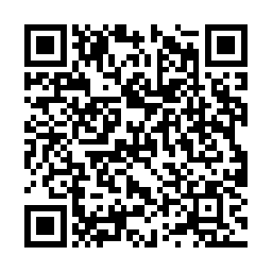 包括几个听说花无缺回来特意前来探望的花家女婿二维码生成