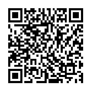 包括刚才呈上来的除了盐粒和辣椒粉之外的另一个碗中盛放的二维码生成