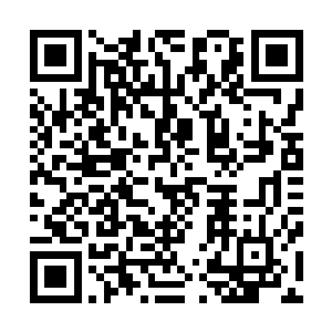 包括十大守护家族以及来自天元大陆各方大势力的重要人物二维码生成