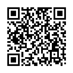 包括叶枫也不清楚那到底是什么样的存在二维码生成